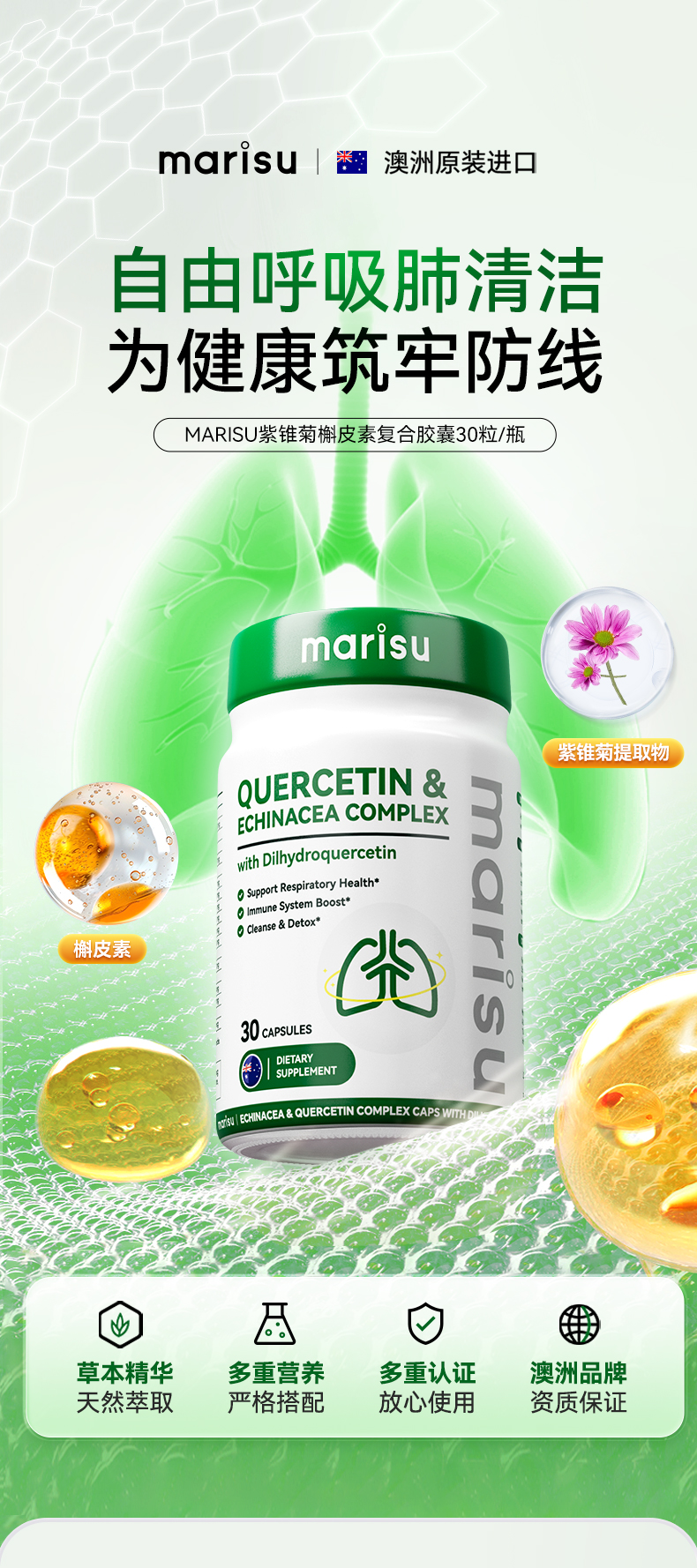 槲皮素详情页 (1).jpg