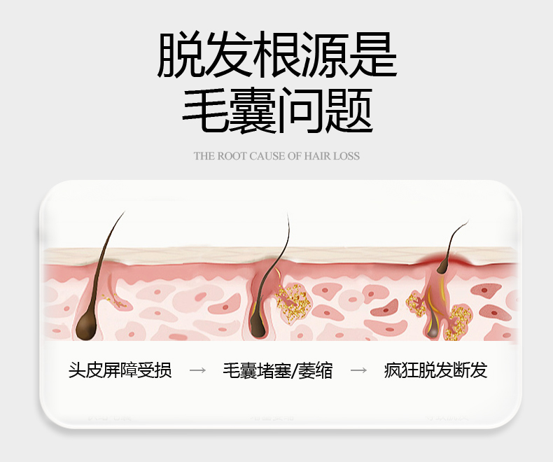 小蓝帽-上半部分_03.jpg