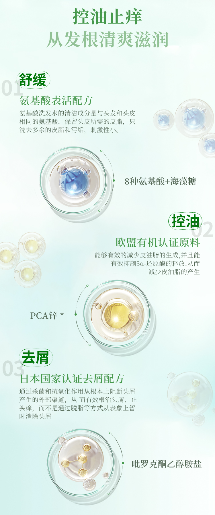 控油舒缓生机洗发水_06.jpg