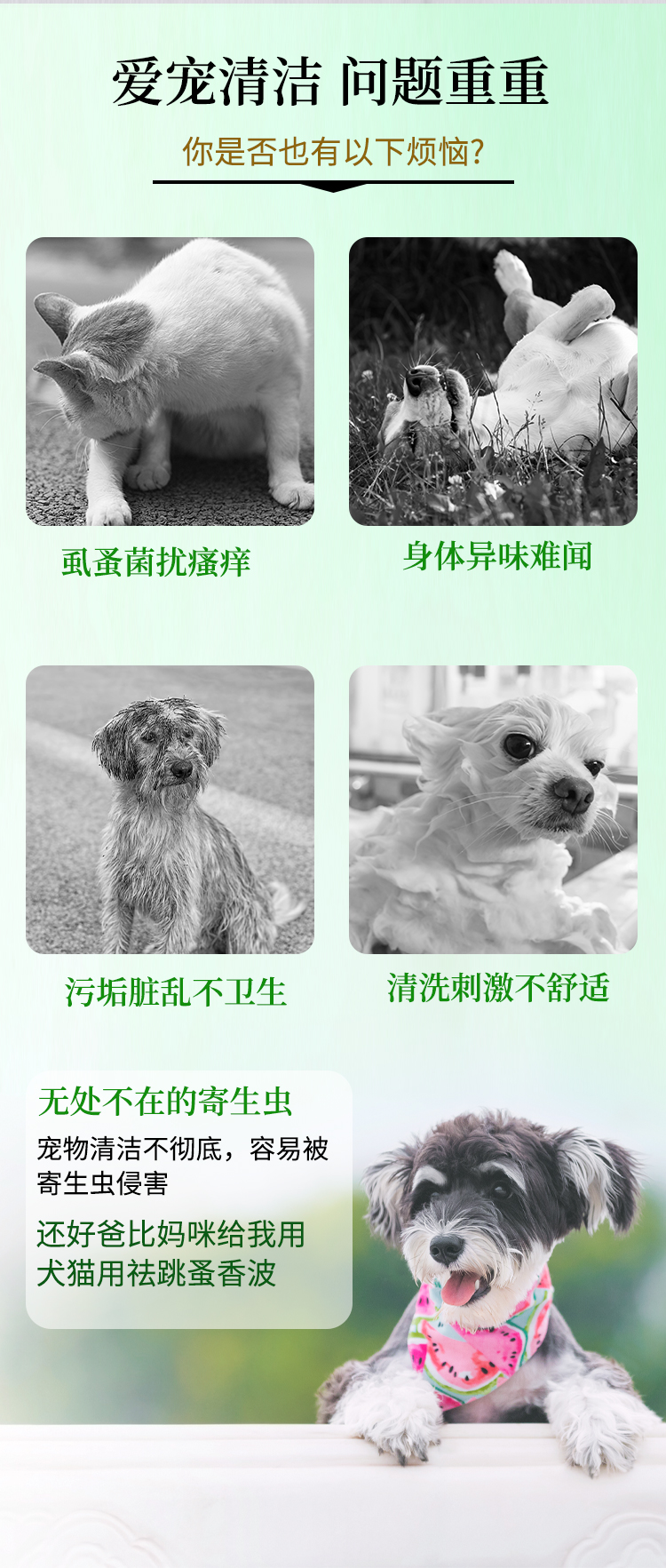 犬猫用祛跳蚤香波详情图_02.jpg