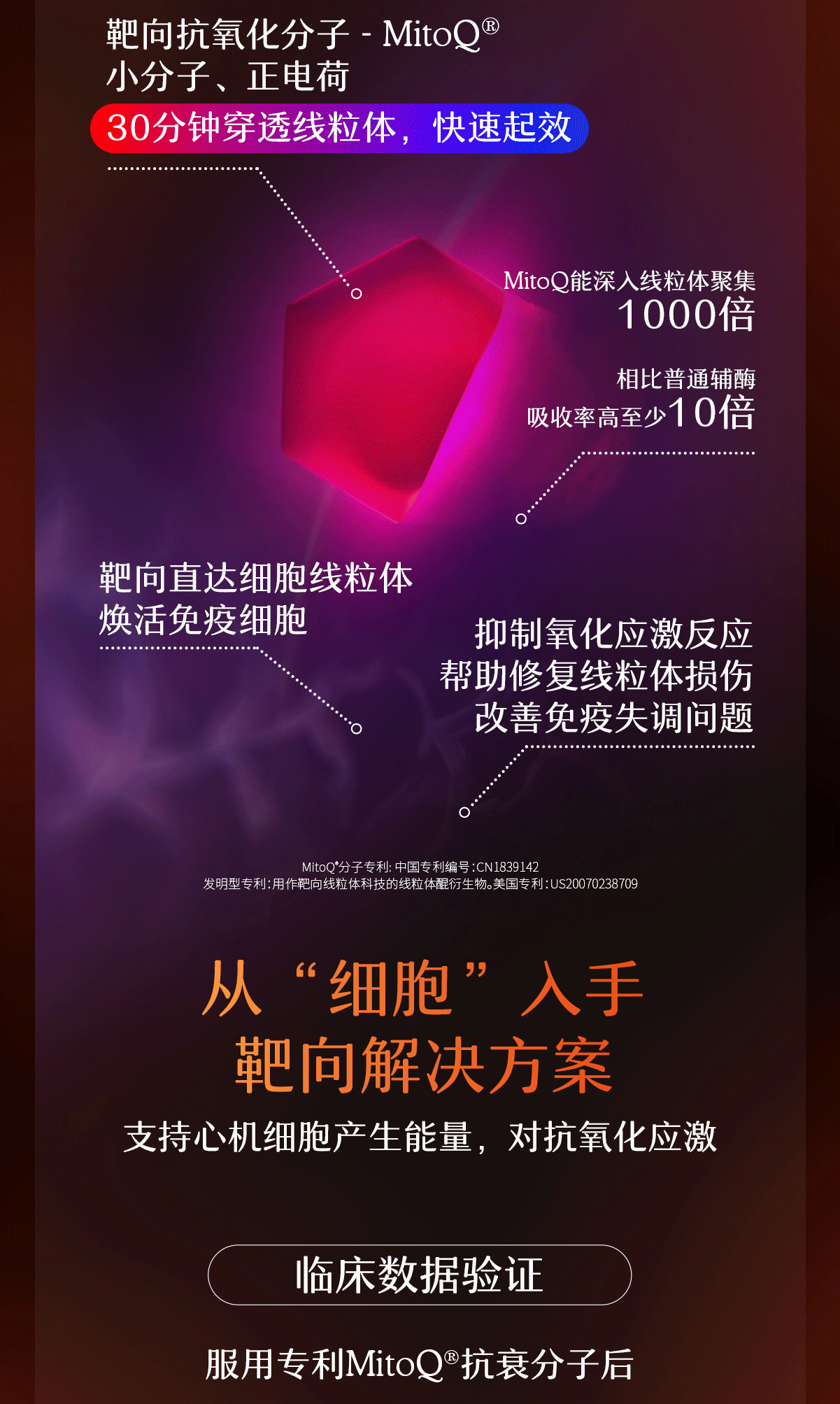 4.gif