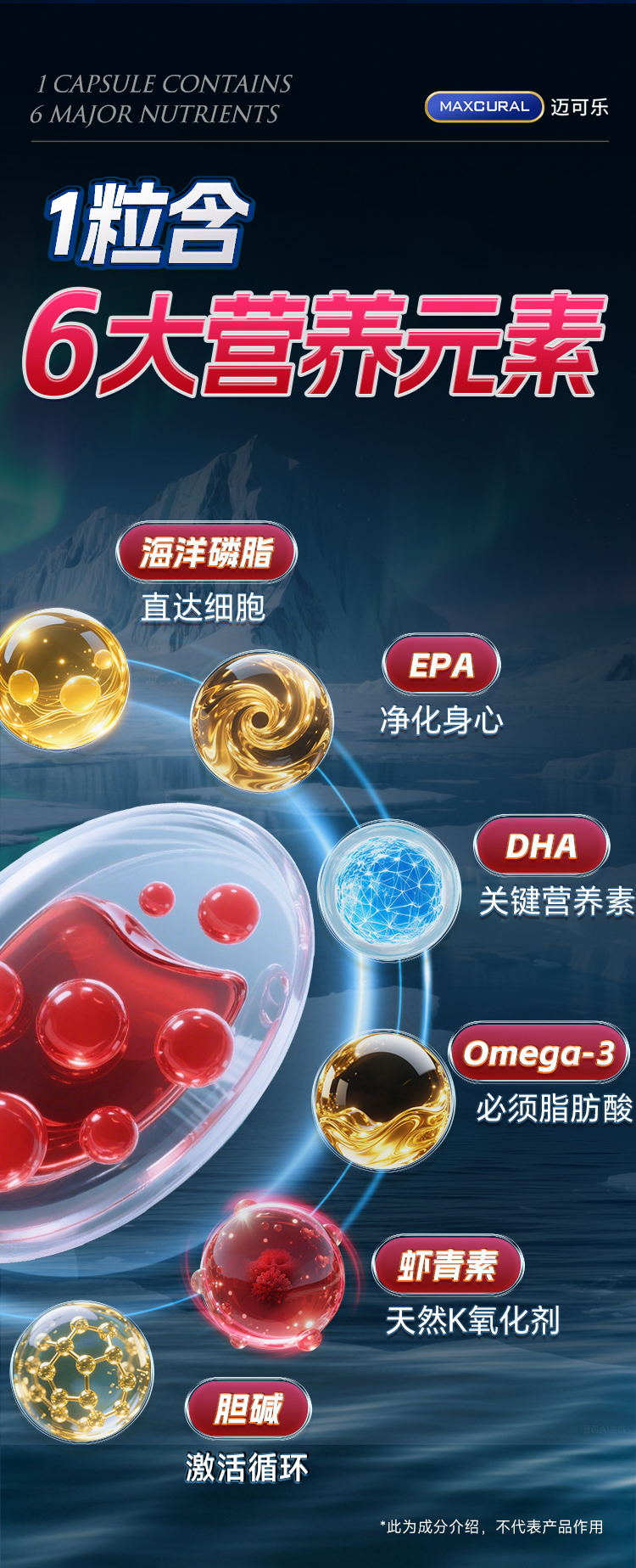 磷虾油_05.jpg