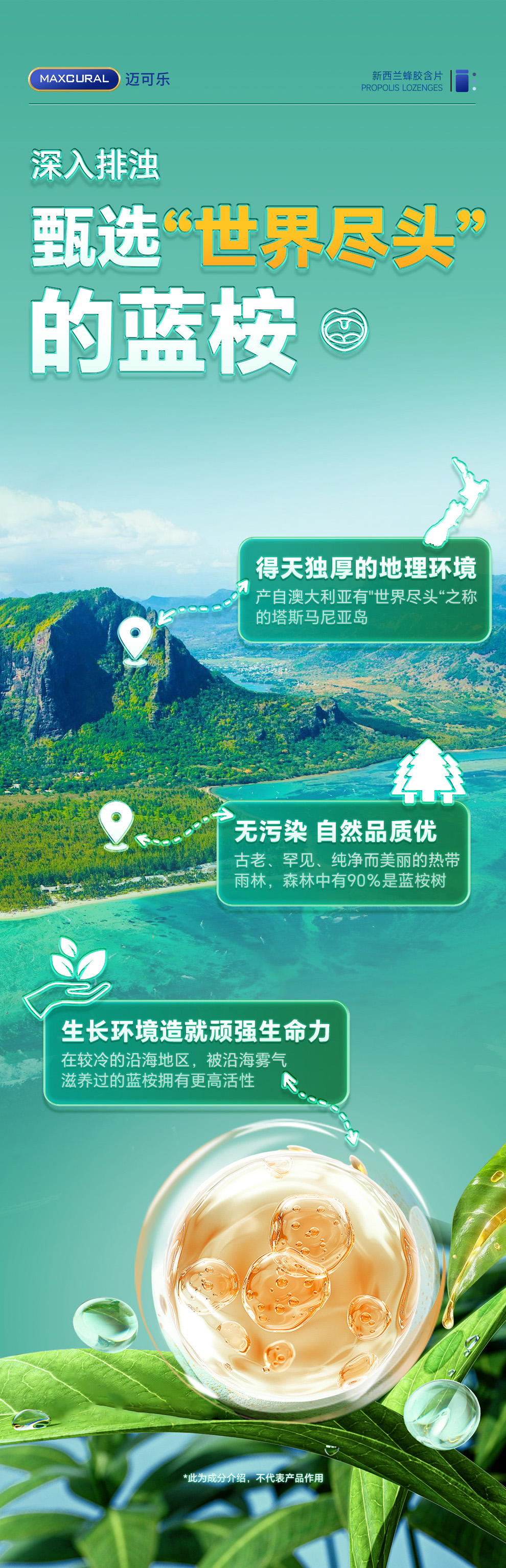 肺清片详情页3_02.jpg