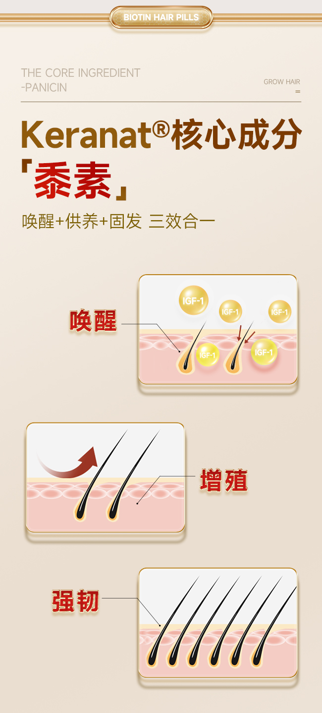 拼图_05.jpg