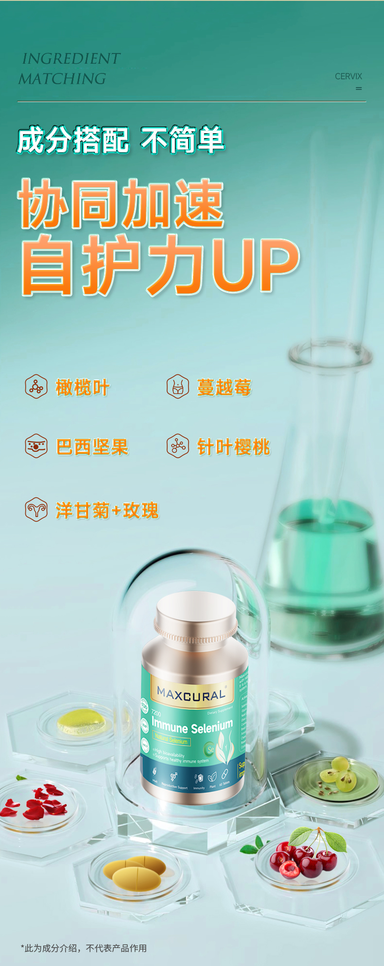 详情页5de_03.jpg