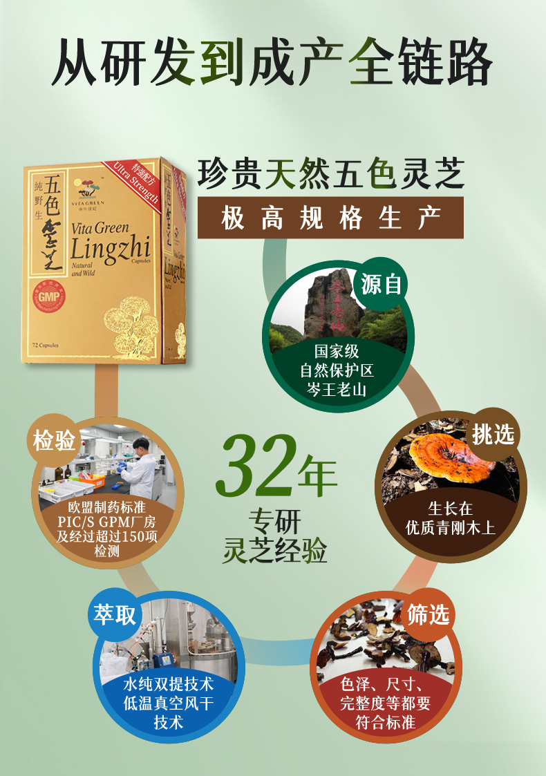 五色灵芝详情4_13.jpg