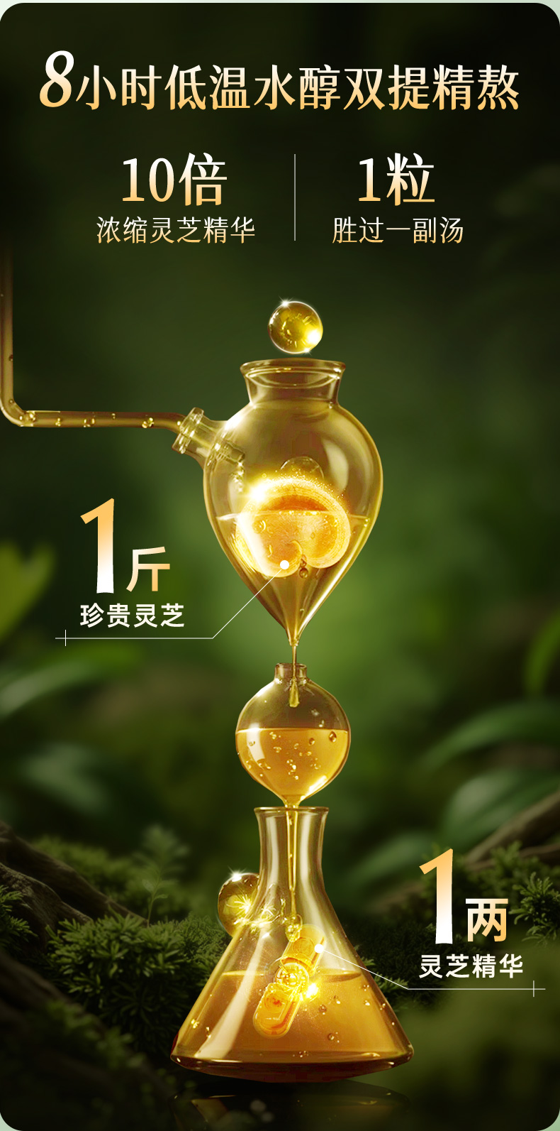 五色灵芝详情4_06.jpg