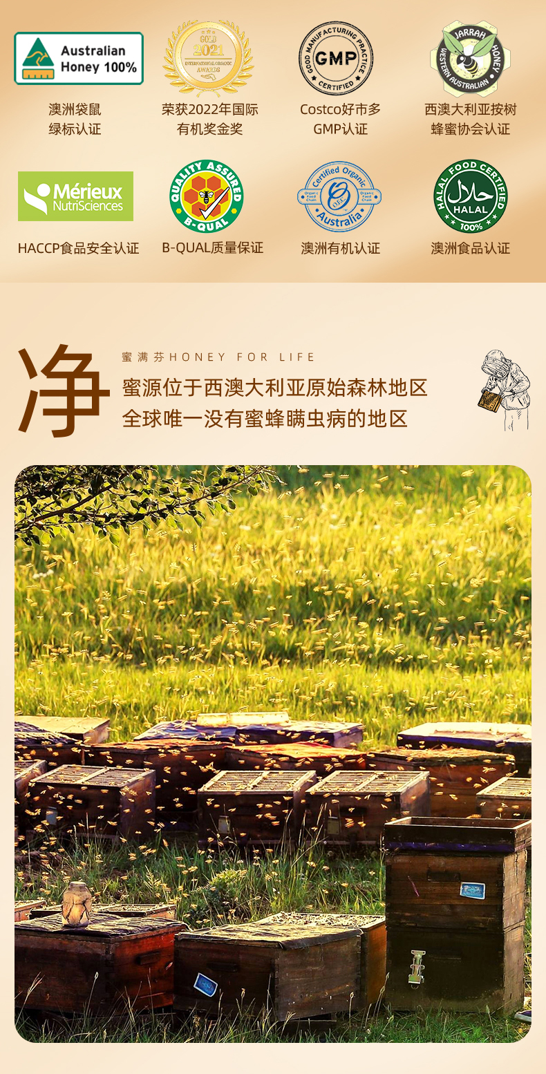 南亚特蜜TA10+_02.jpg