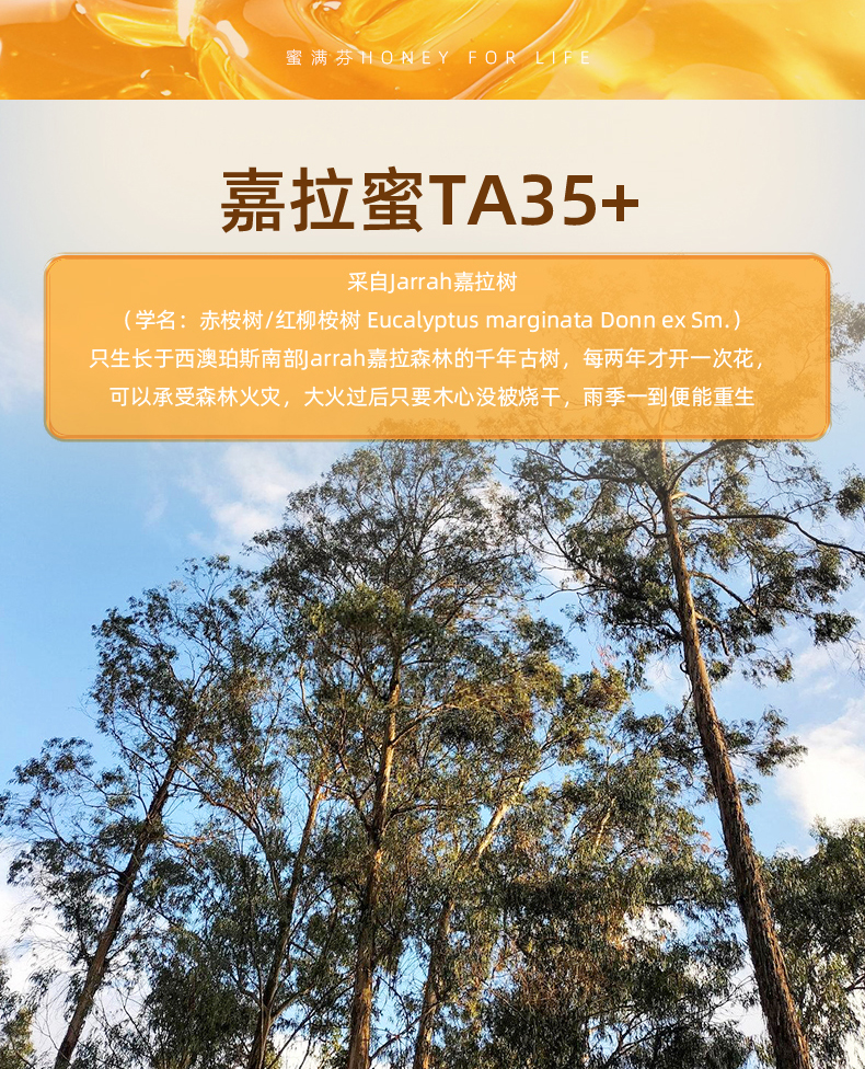 嘉拉蜜TA35+-详情_06.jpg