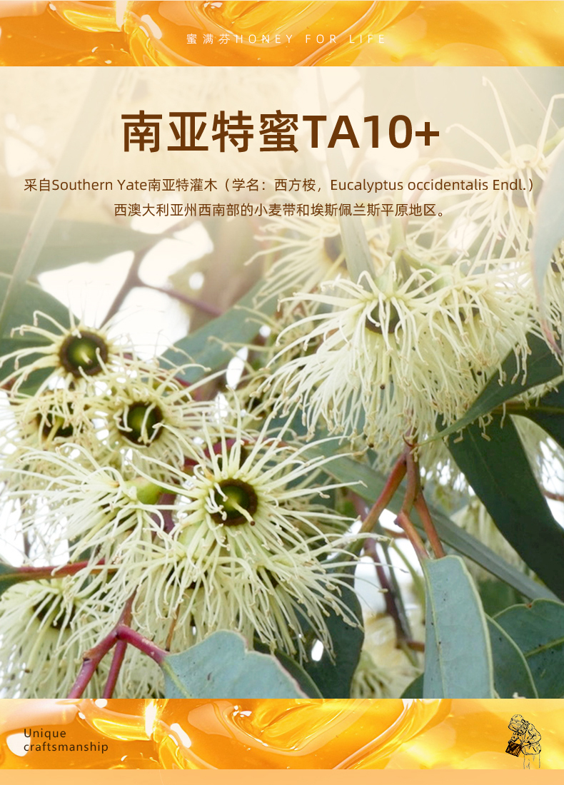 南亚特蜜TA10+_05.jpg