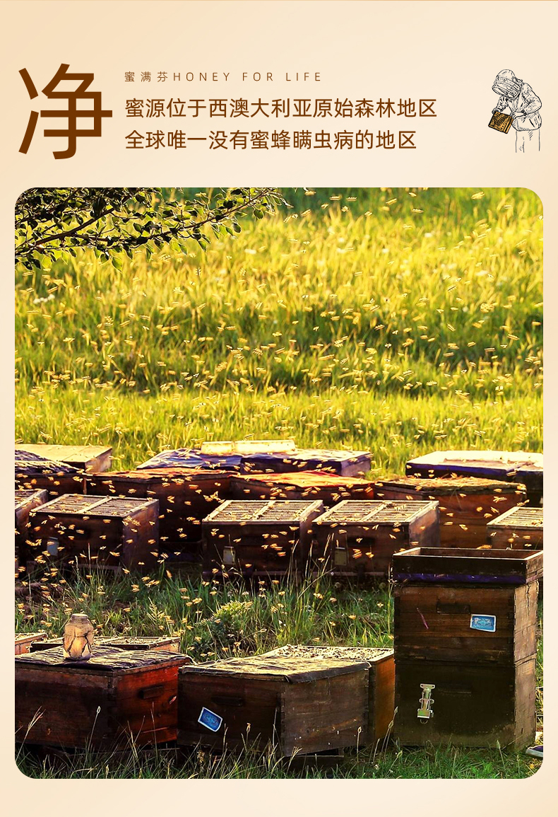 嘉拉蜜TA35+-详情_03.jpg