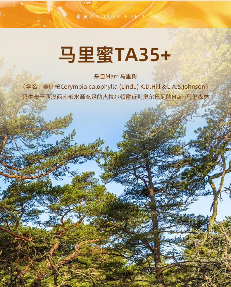 马里蜜TA35+_06.jpg