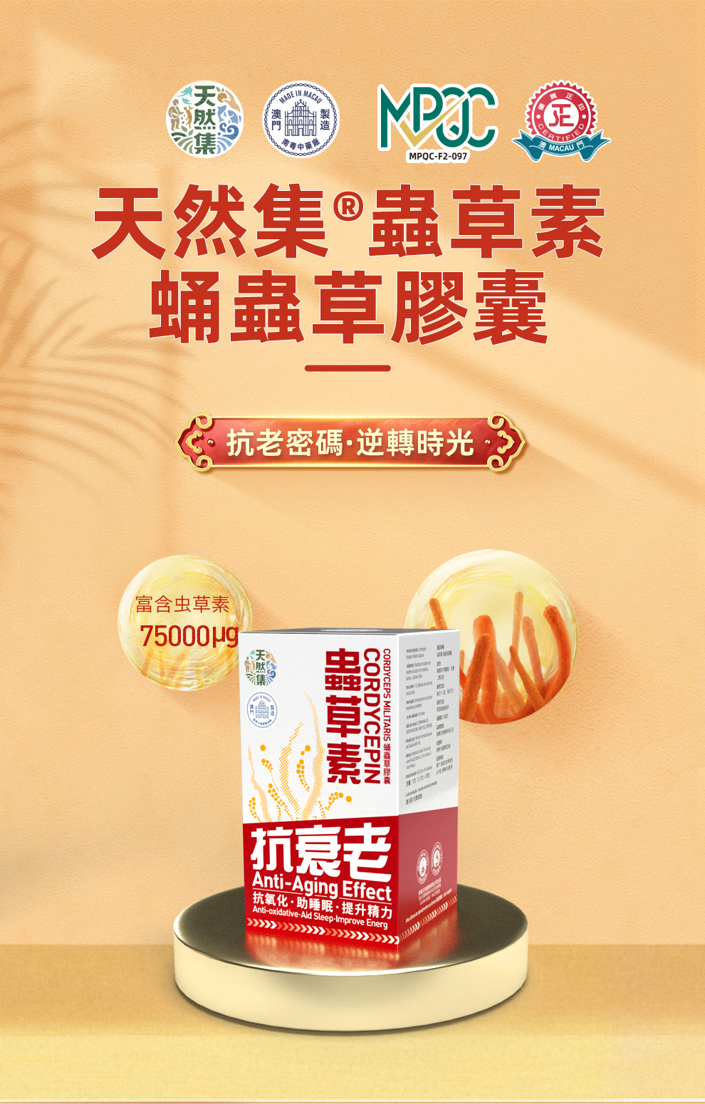 虫草素·蛹虫草胶囊（单盒装）-详情页_01.jpg