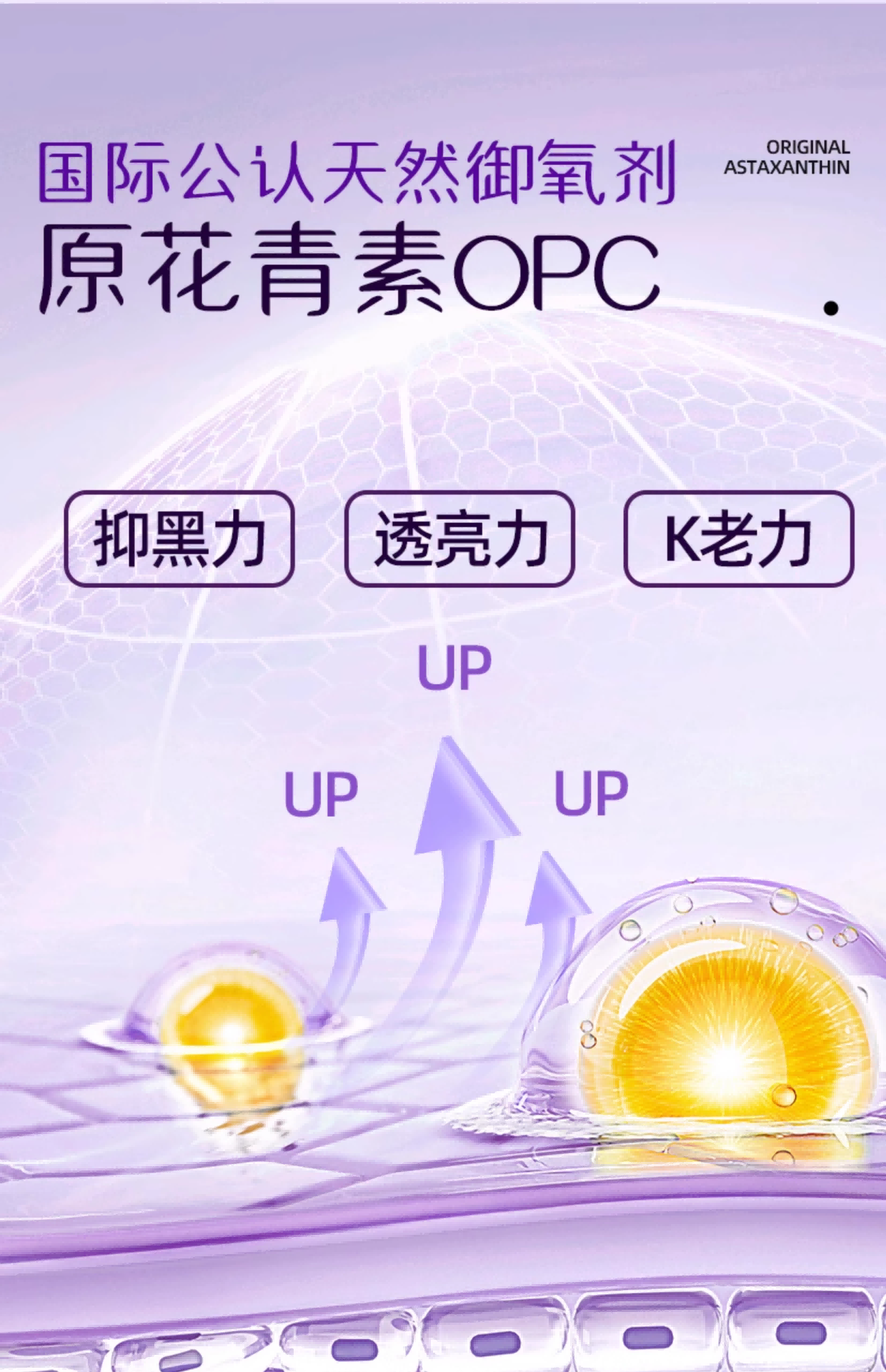 13(1)(1).png