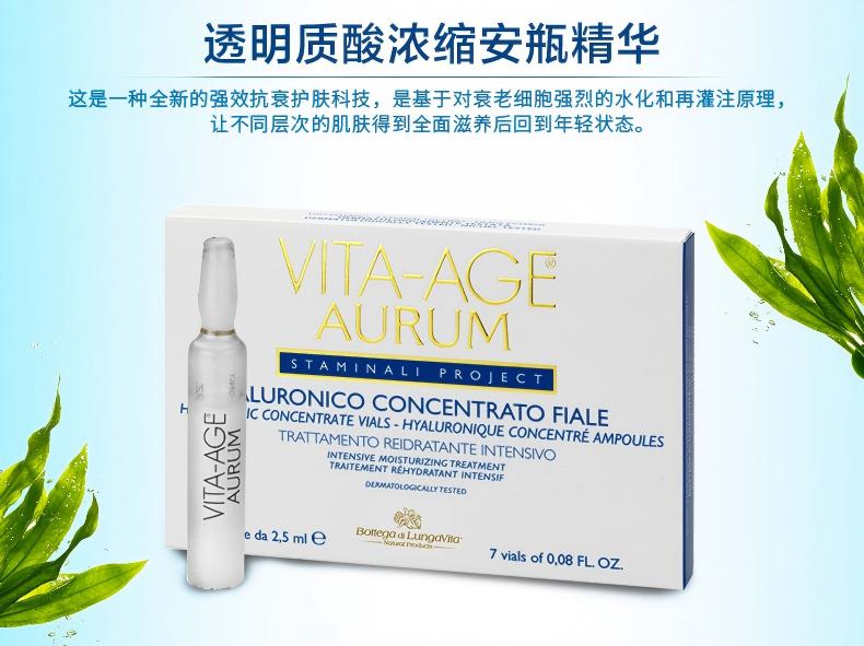 雪绒花黄金系列定稿2022切片-2(1).jpg