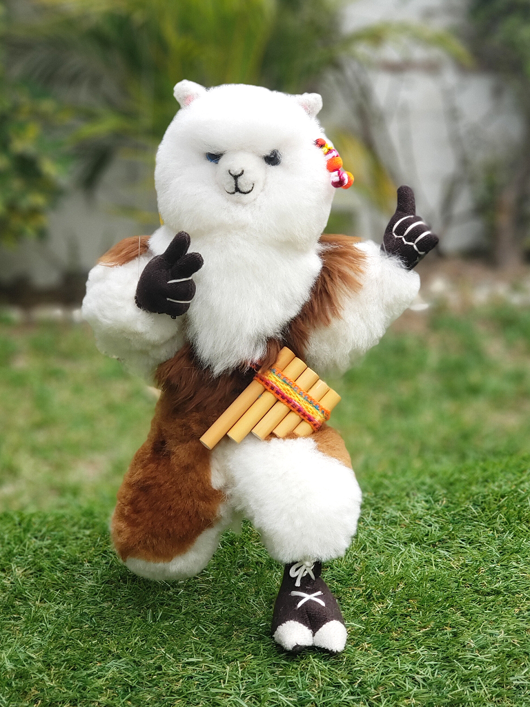 Alpacholo_natural_pechopeludo (1).png