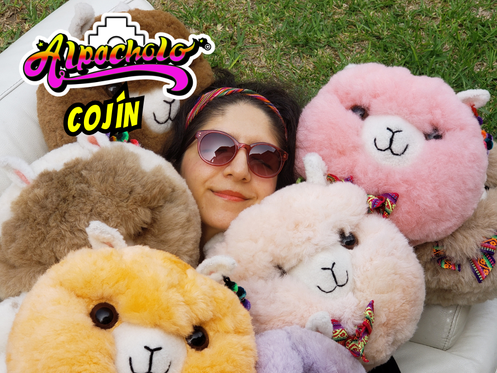 CojínAlpacholo_2024.png