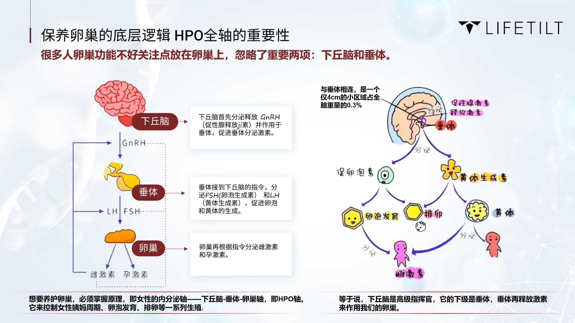 9A1615C21F8B84E507087C540C6006A5.png 6e4c75333a0549e03ccddb71b896b5a.png