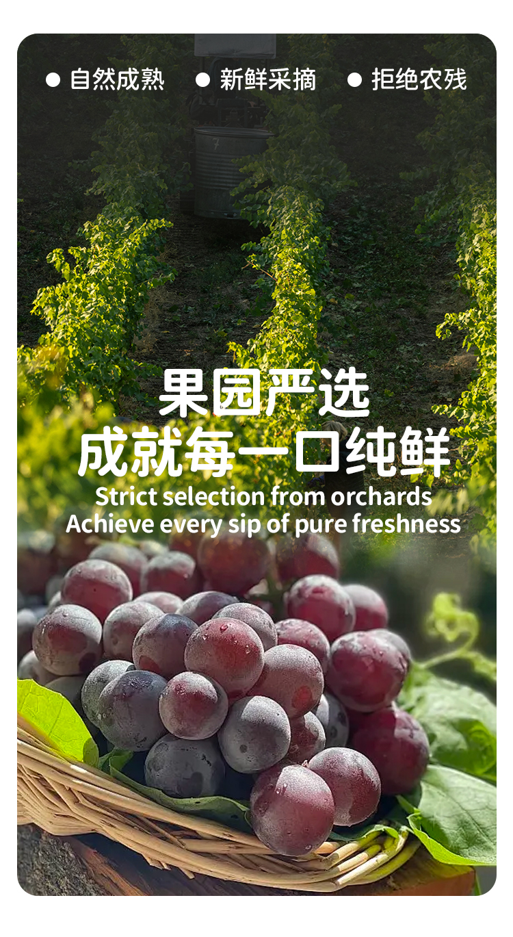 果汁详情页_02.jpg