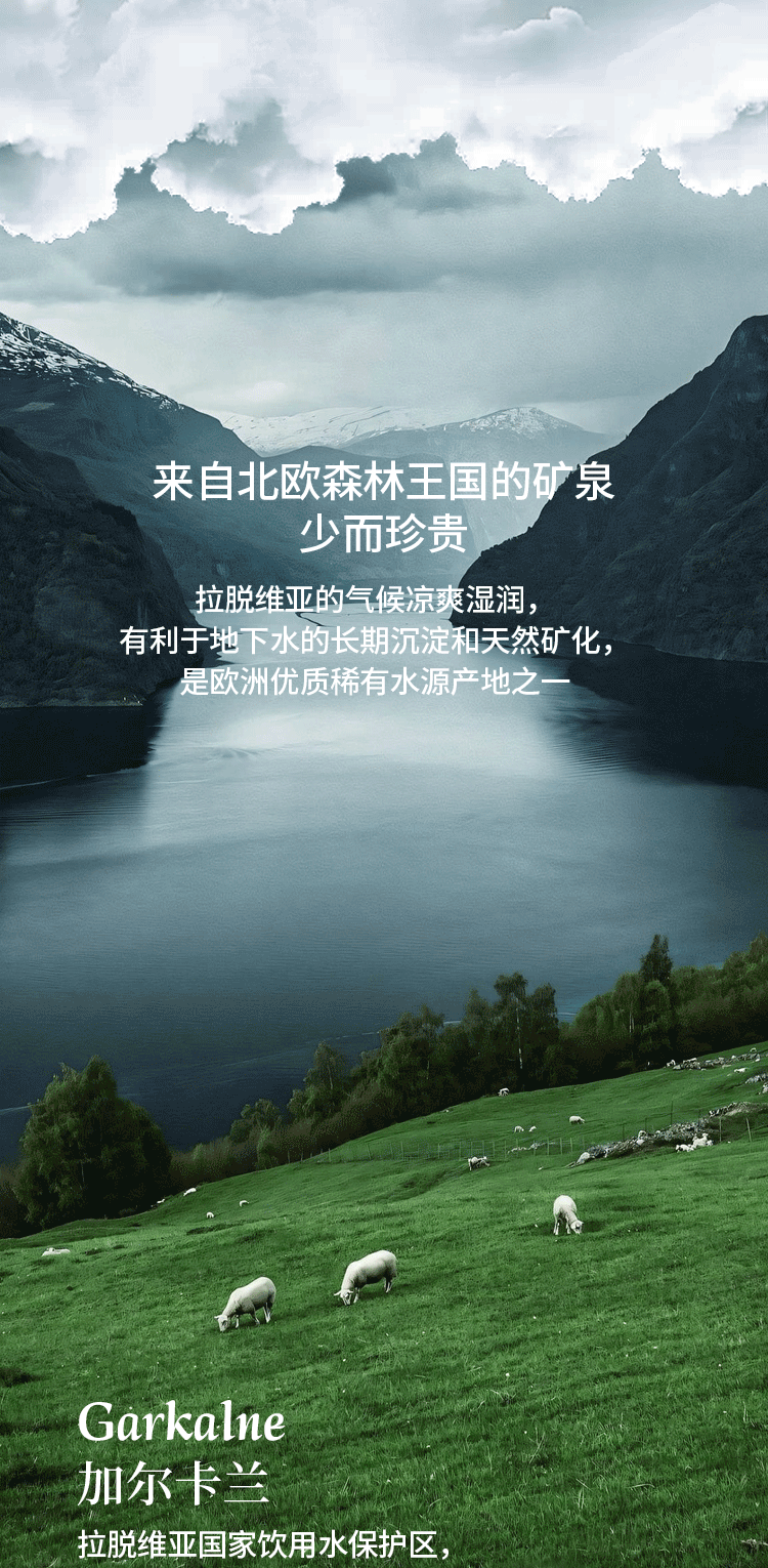 拉脱维亚气泡水_05.png