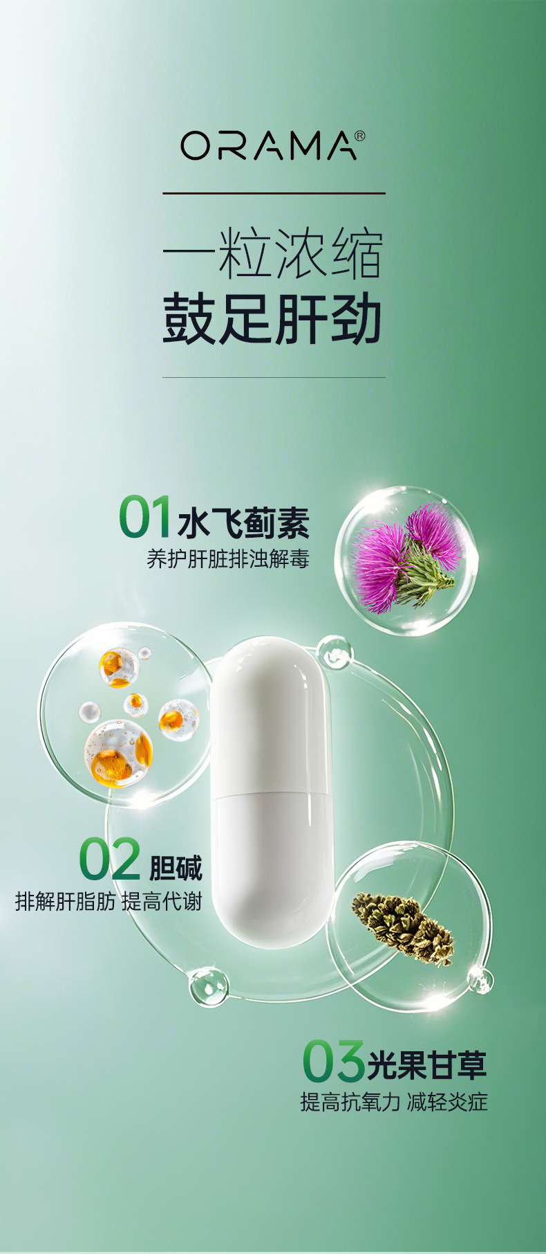 护肝-_03.jpg