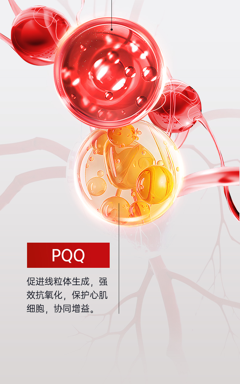 ORAMA辅酶q10-恢复的_06.jpg
