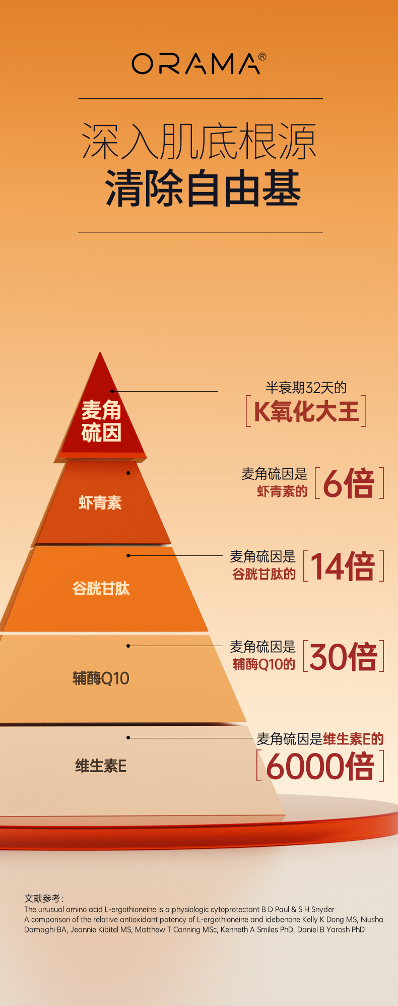 1 (16).jpg