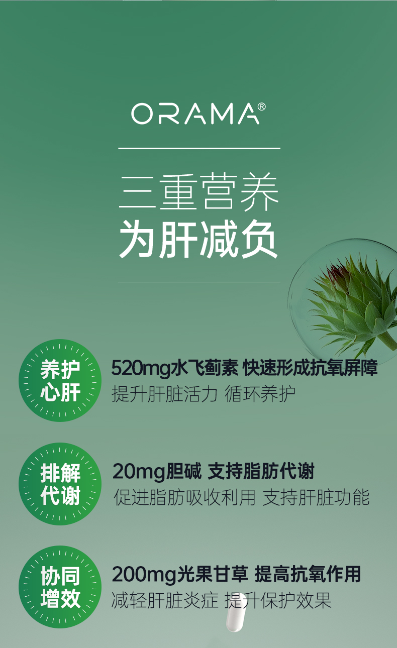 护肝-_06.jpg