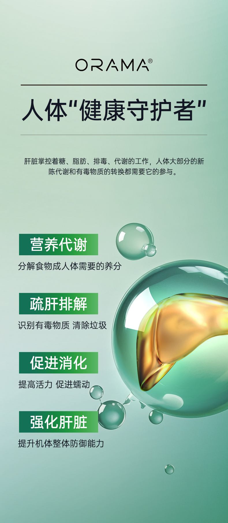 护肝-_04.jpg