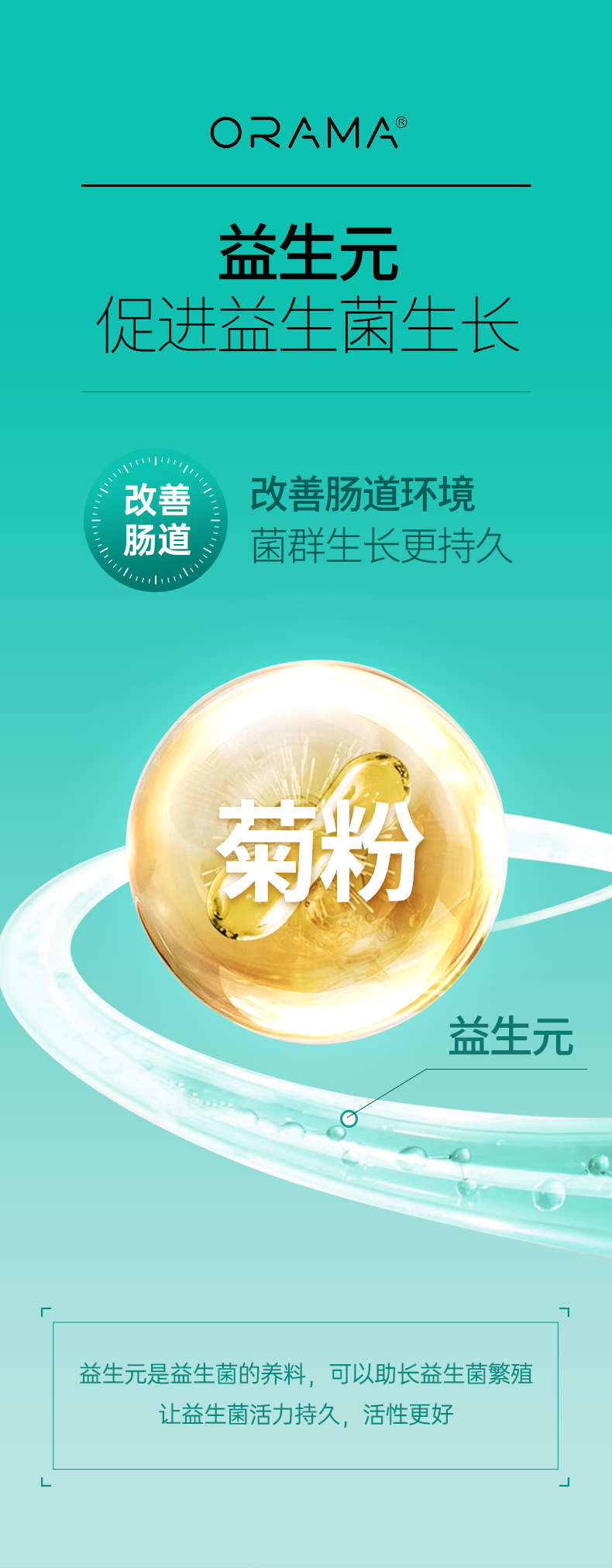 ORAMA肠道益生菌_07.jpg