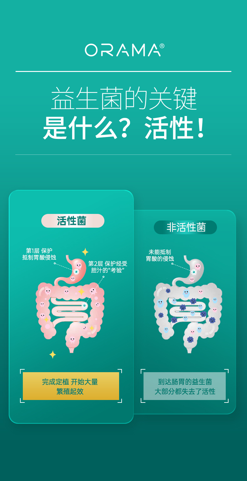 ORAMA肠道益生菌_04.jpg