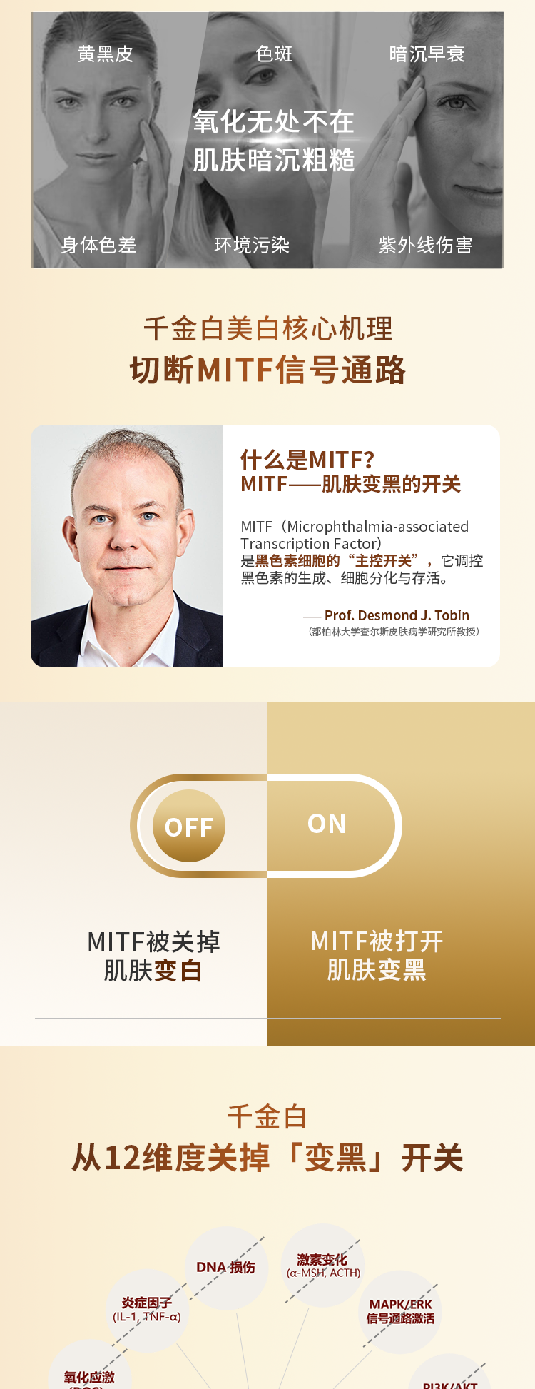 6E54D3D3E120A39F6DA966F379DA9CDE.png 三代千金白详情页_05.png