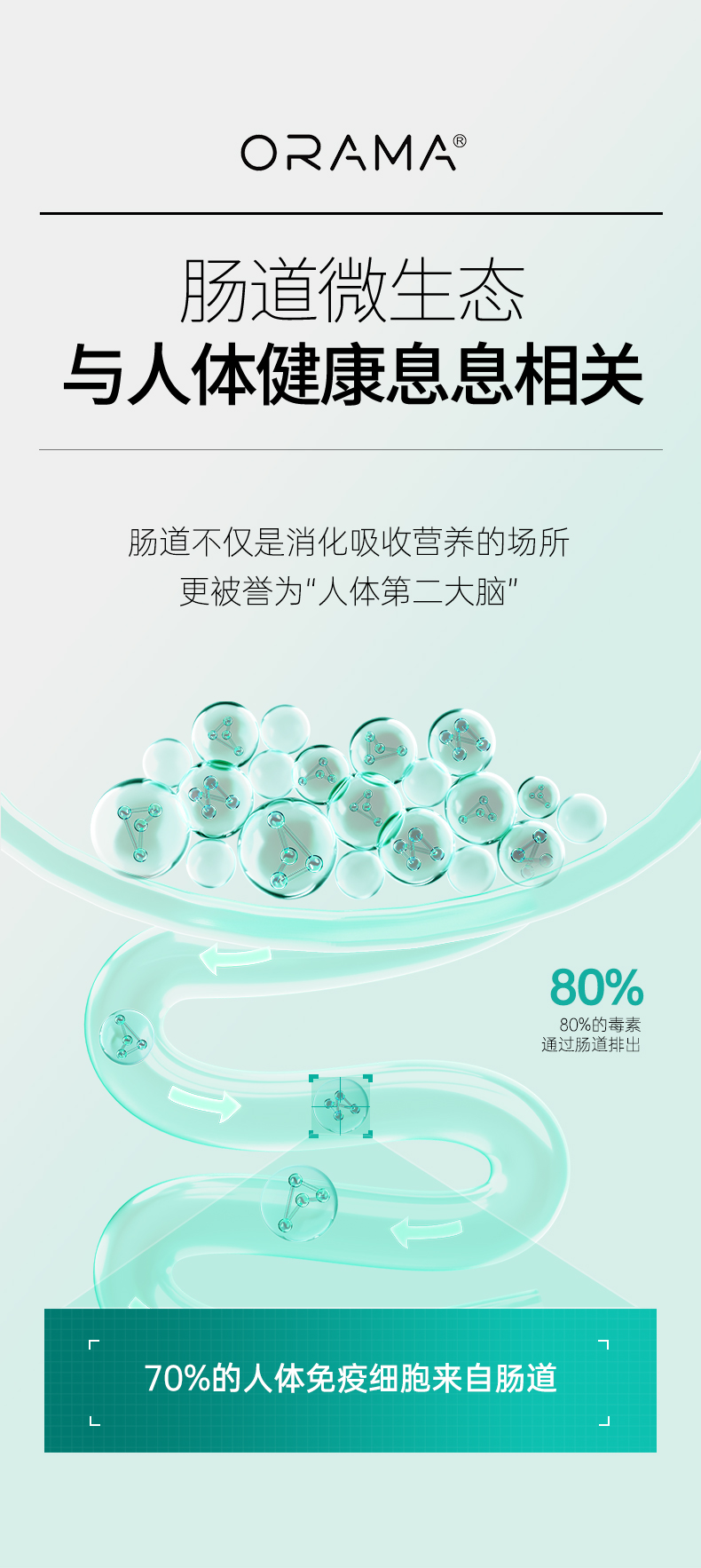 ORAMA肠道益生菌_03.jpg