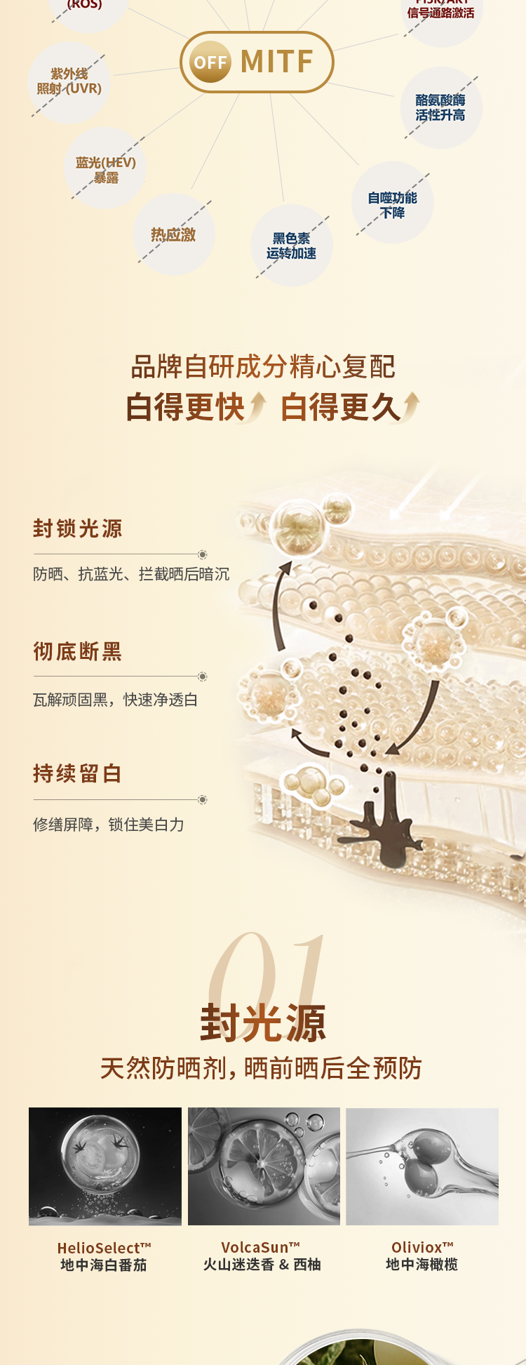 B64F3D51FB8D7DC17E12EA39C8210B63.png 三代千金白详情页_06.png