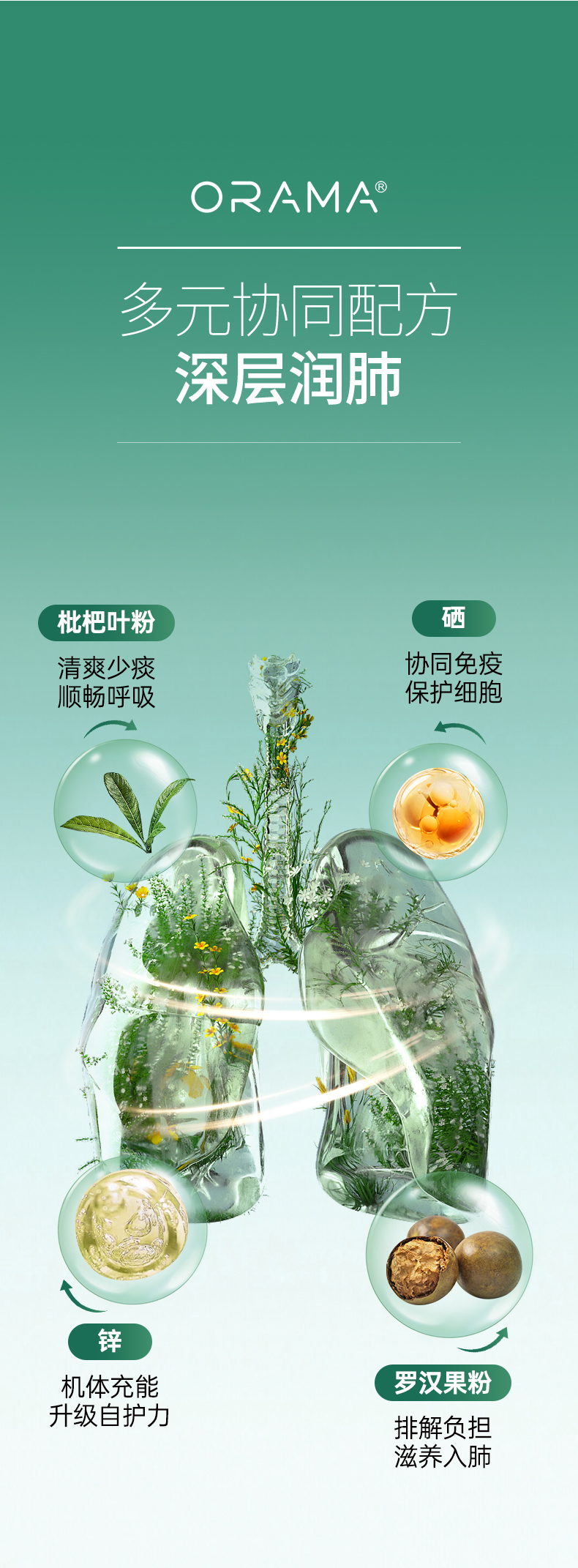槲皮素1_06.jpg