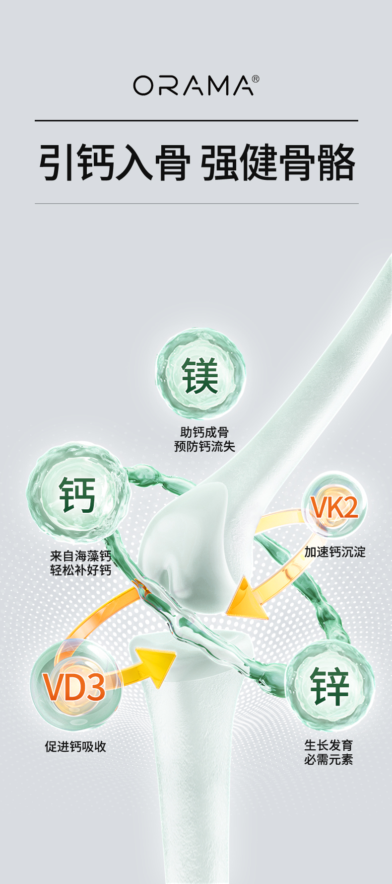 ORAMA-赖氨酸详情页_07.jpg