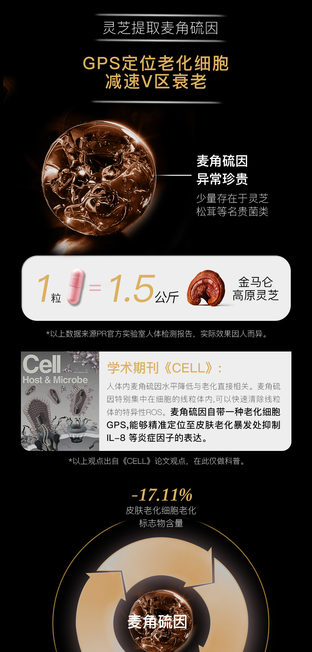 D9B9E5F8854849F932A26A43DEE1D41C.jpg 11.jpg