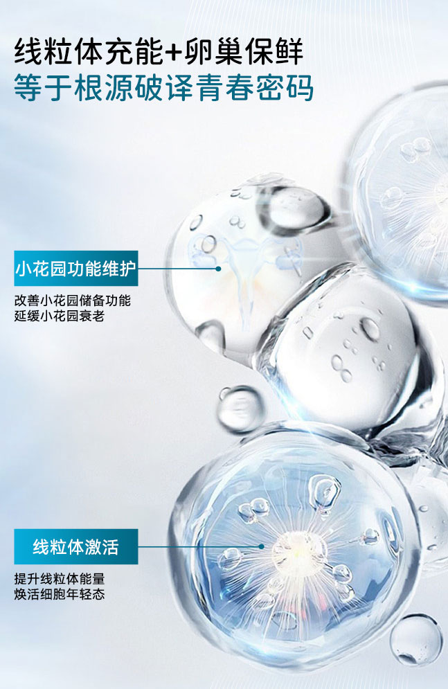 详情_06.jpg