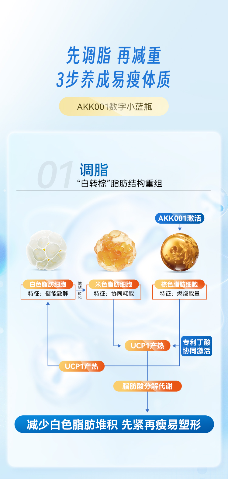 AKK详情2_06.jpg