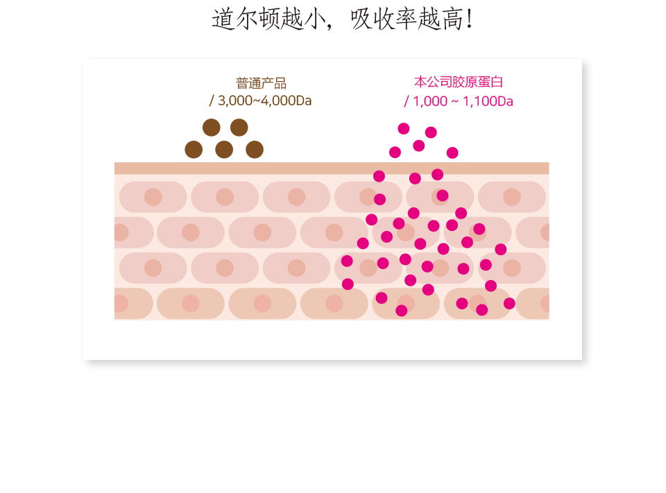 pink_06.gif