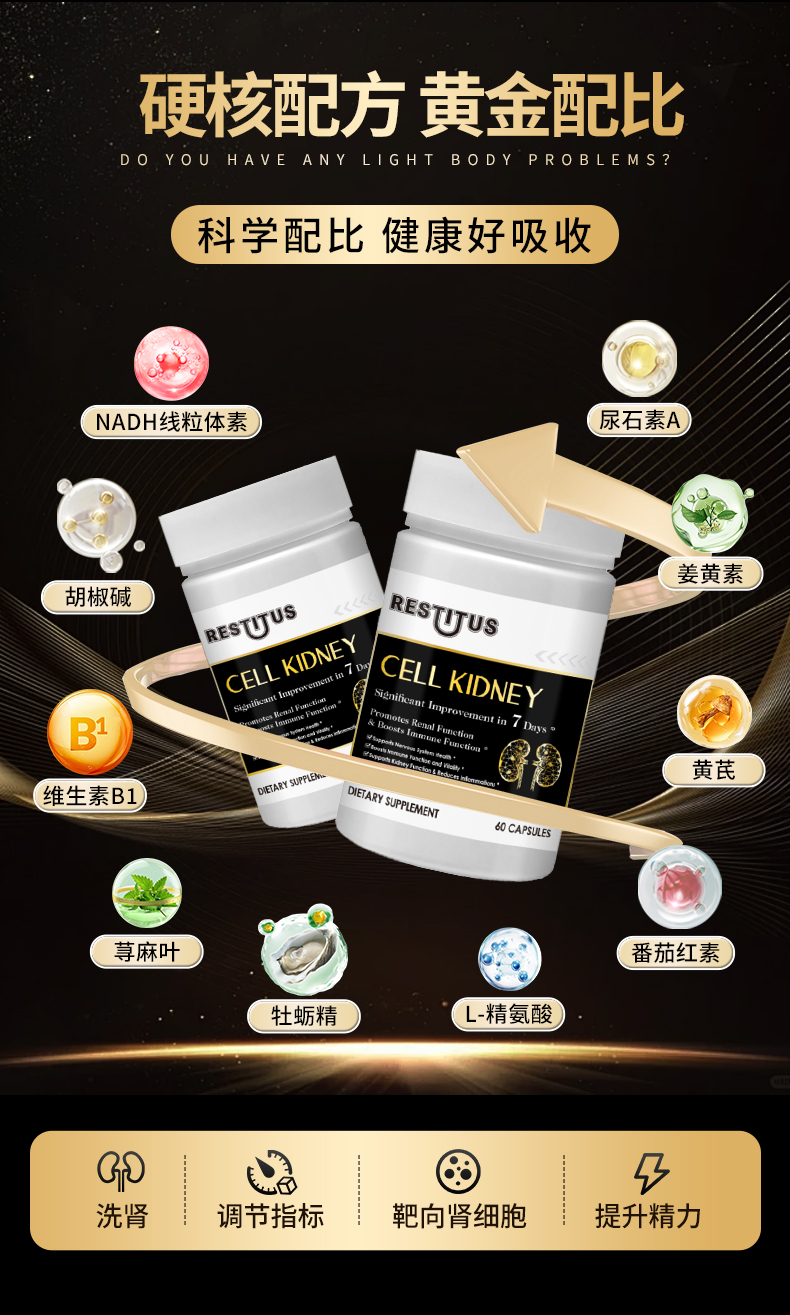 肾细胞详情_04.jpg