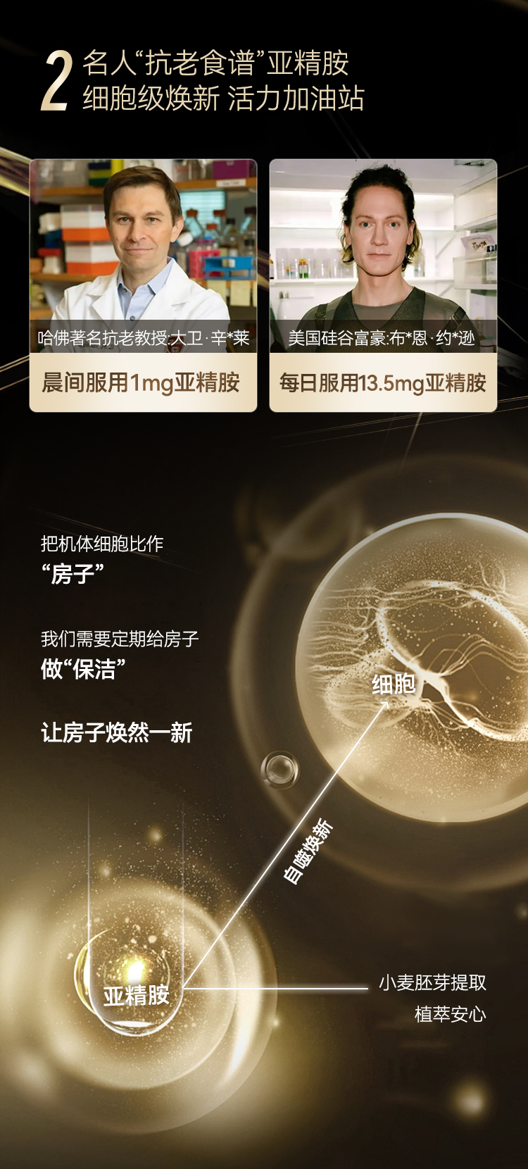 益维力商详_09.jpg