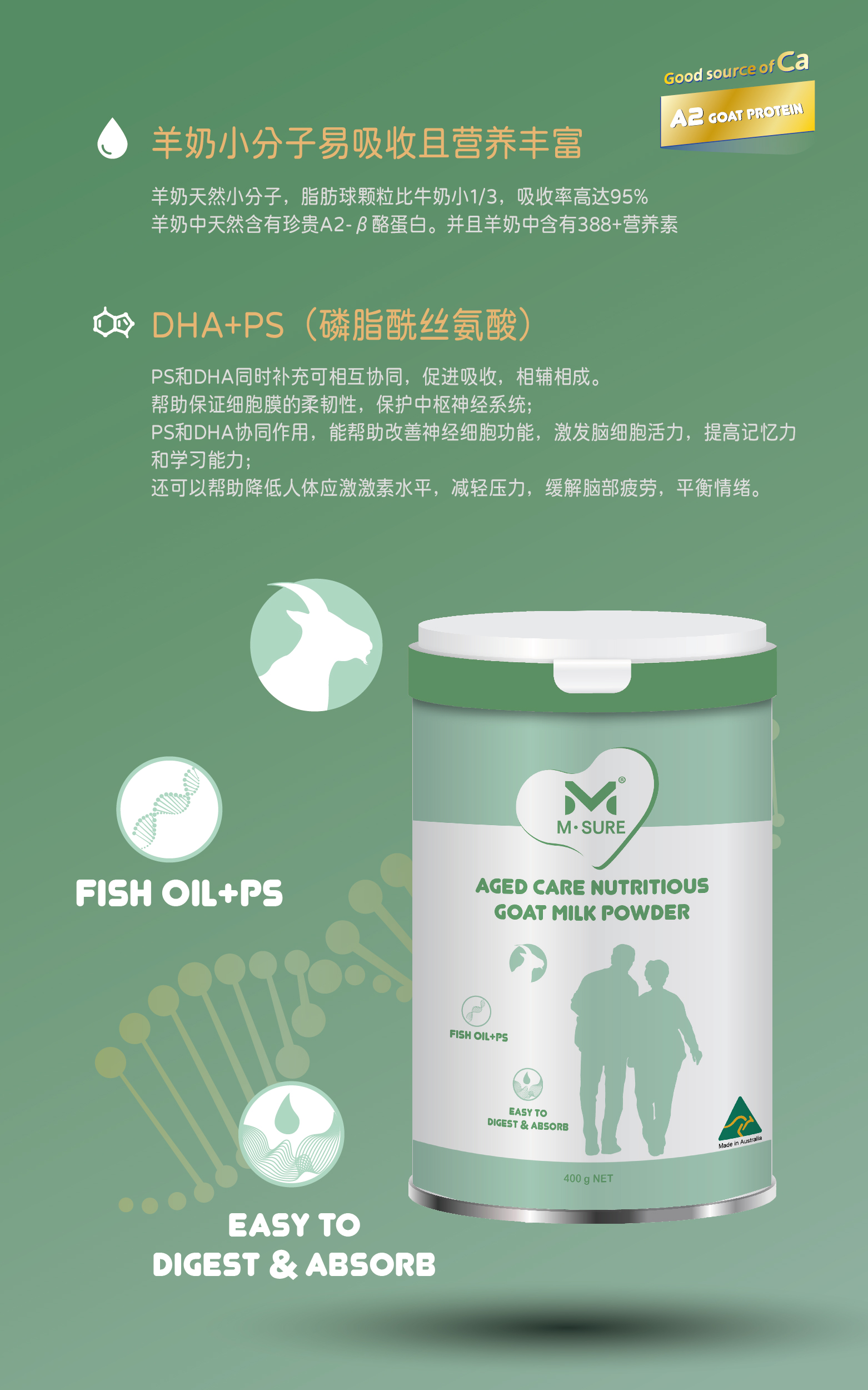 羊老年2.jpg