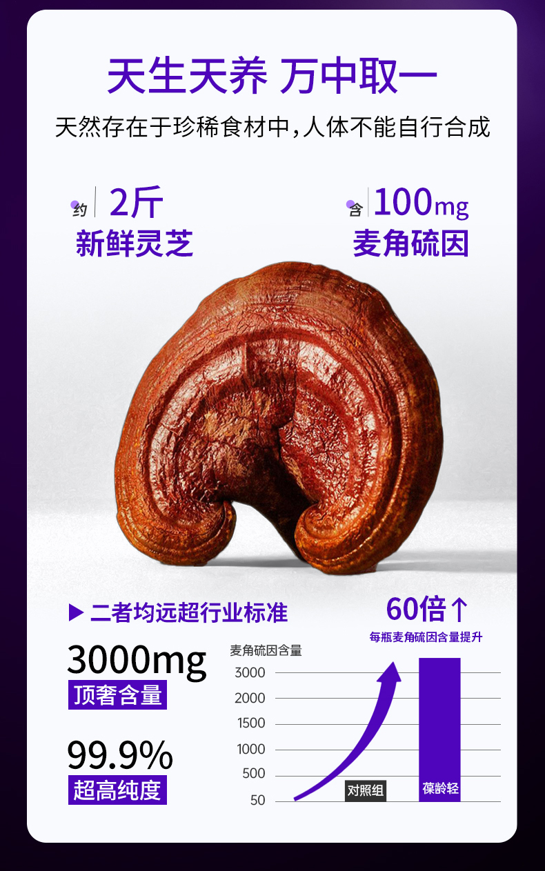 202411125-葆龄轻-bin-修改_10.jpg