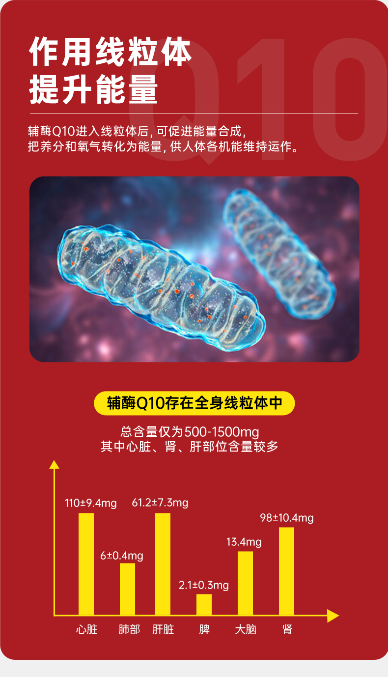 20241021-200mg辅酶6_13.jpg