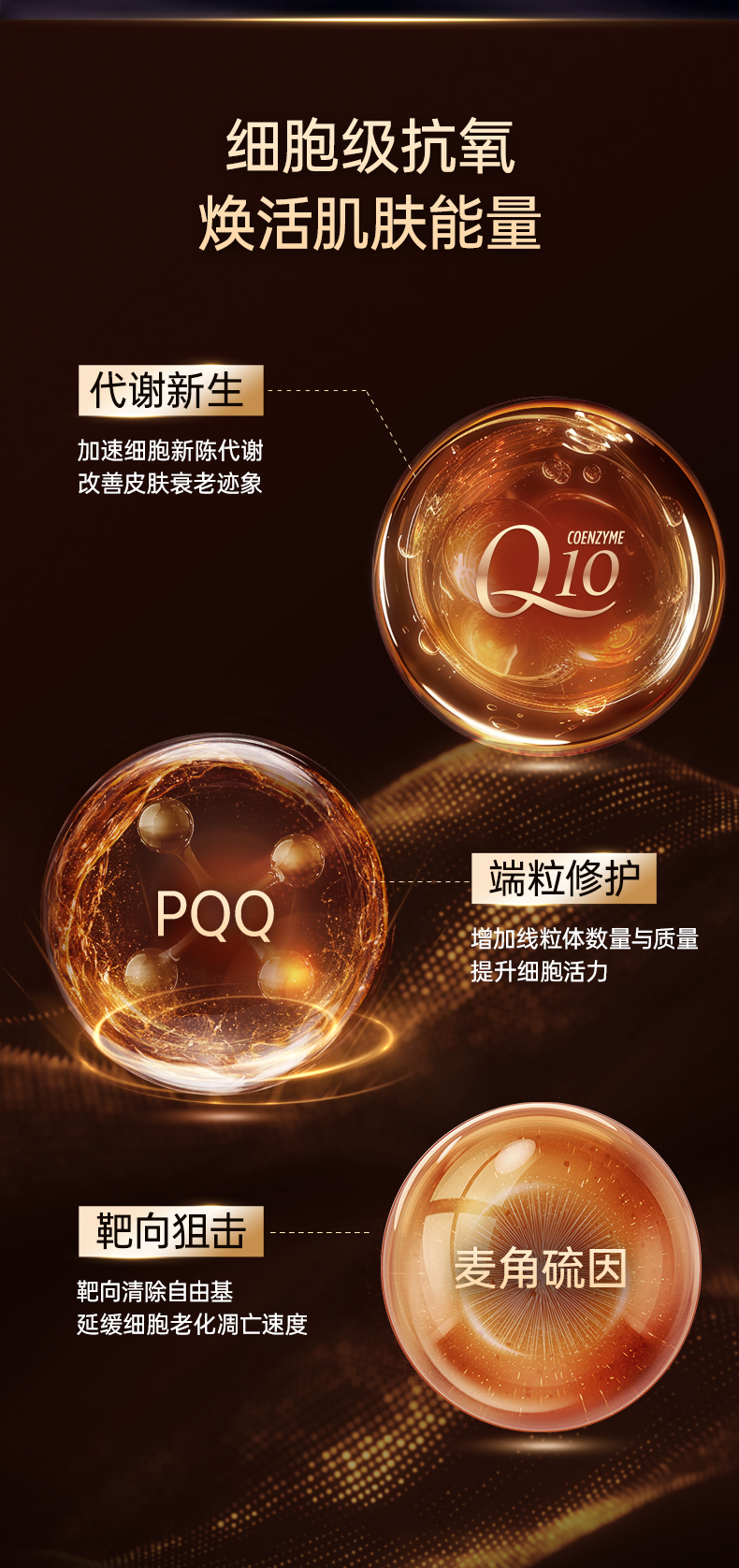 20241121-EGTPQQ辅酶Q10-新增_07.jpg