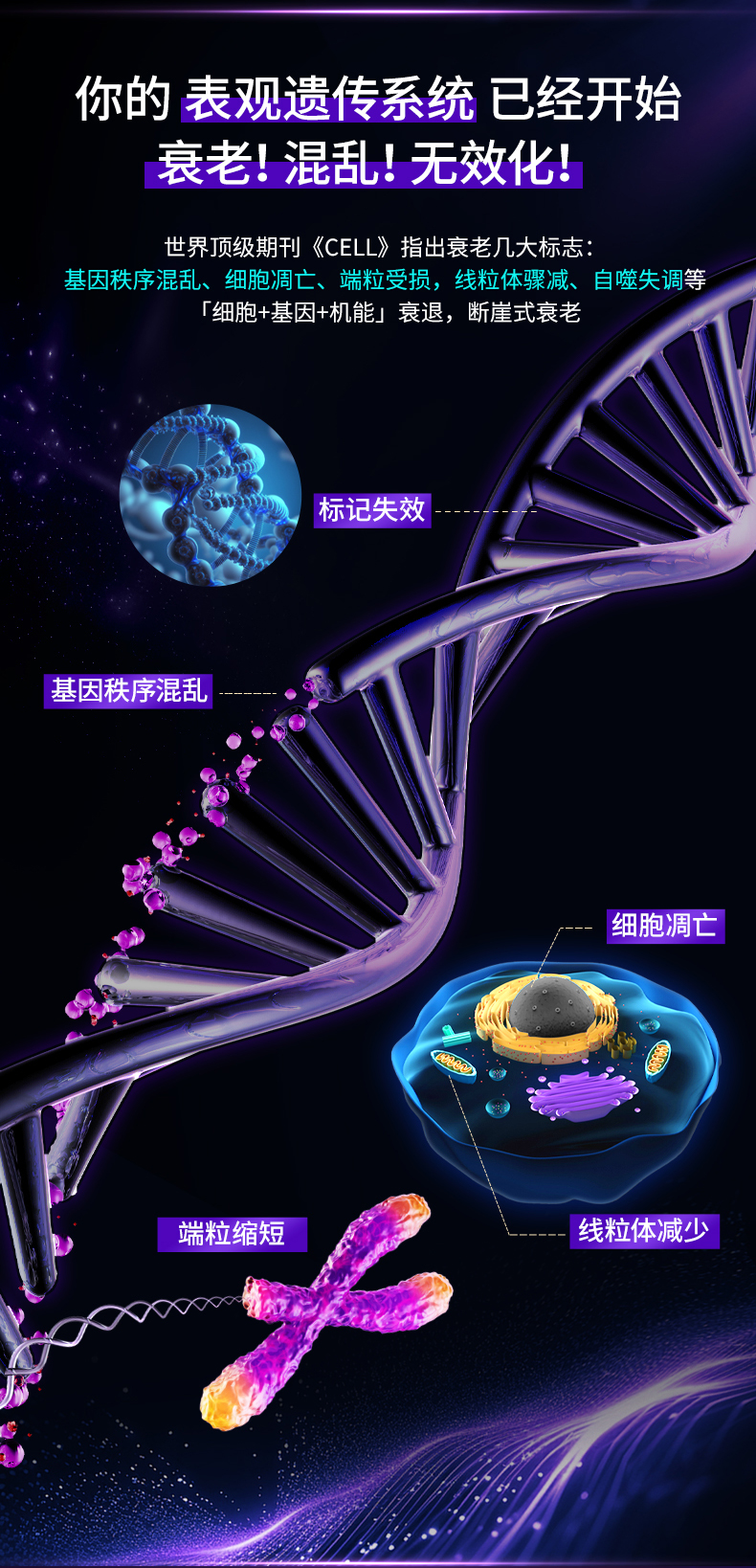 202411125-葆龄轻-bin-修改_04.jpg