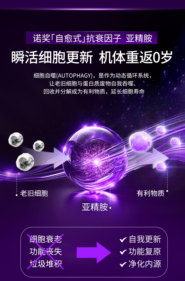 202411125-葆龄轻-bin-修改_13.jpg