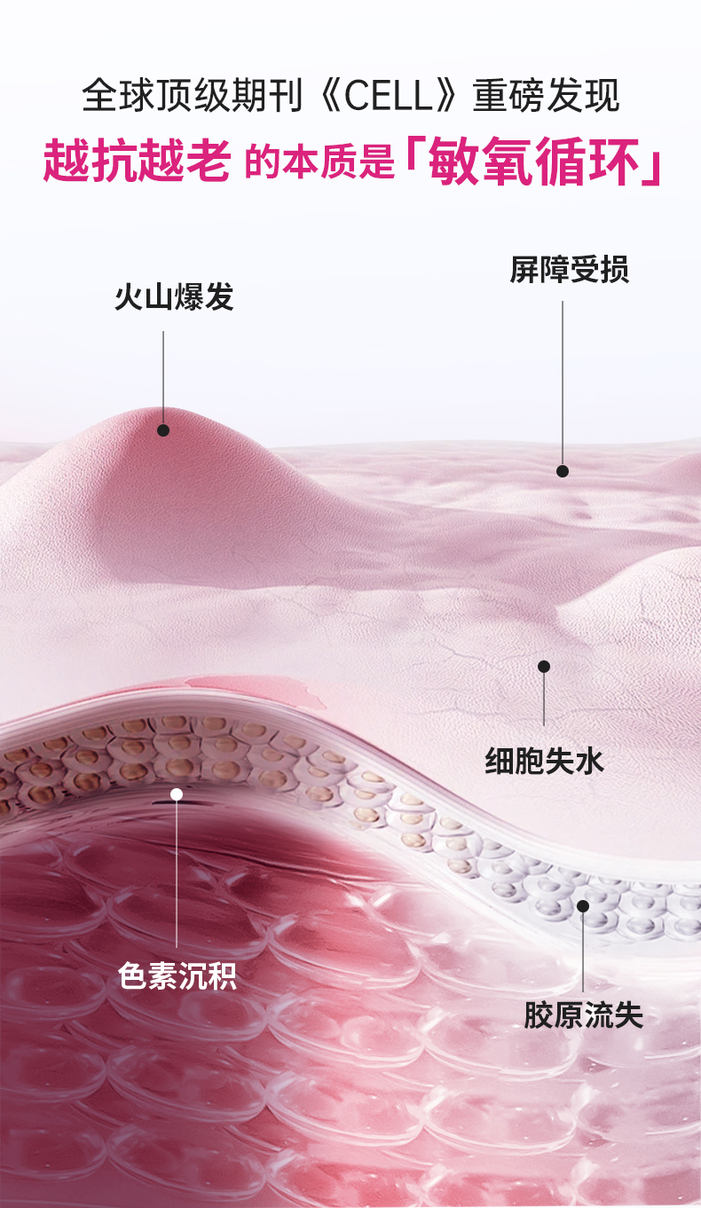 20241214-麦角硫因-基础详情页_02.jpg