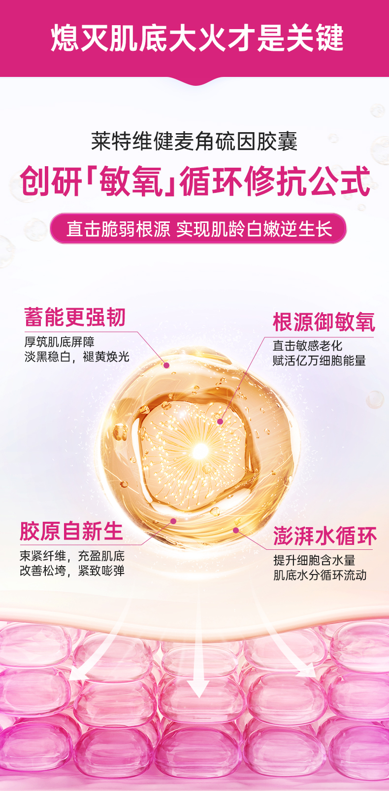 20241214-麦角硫因-基础详情页_04.jpg